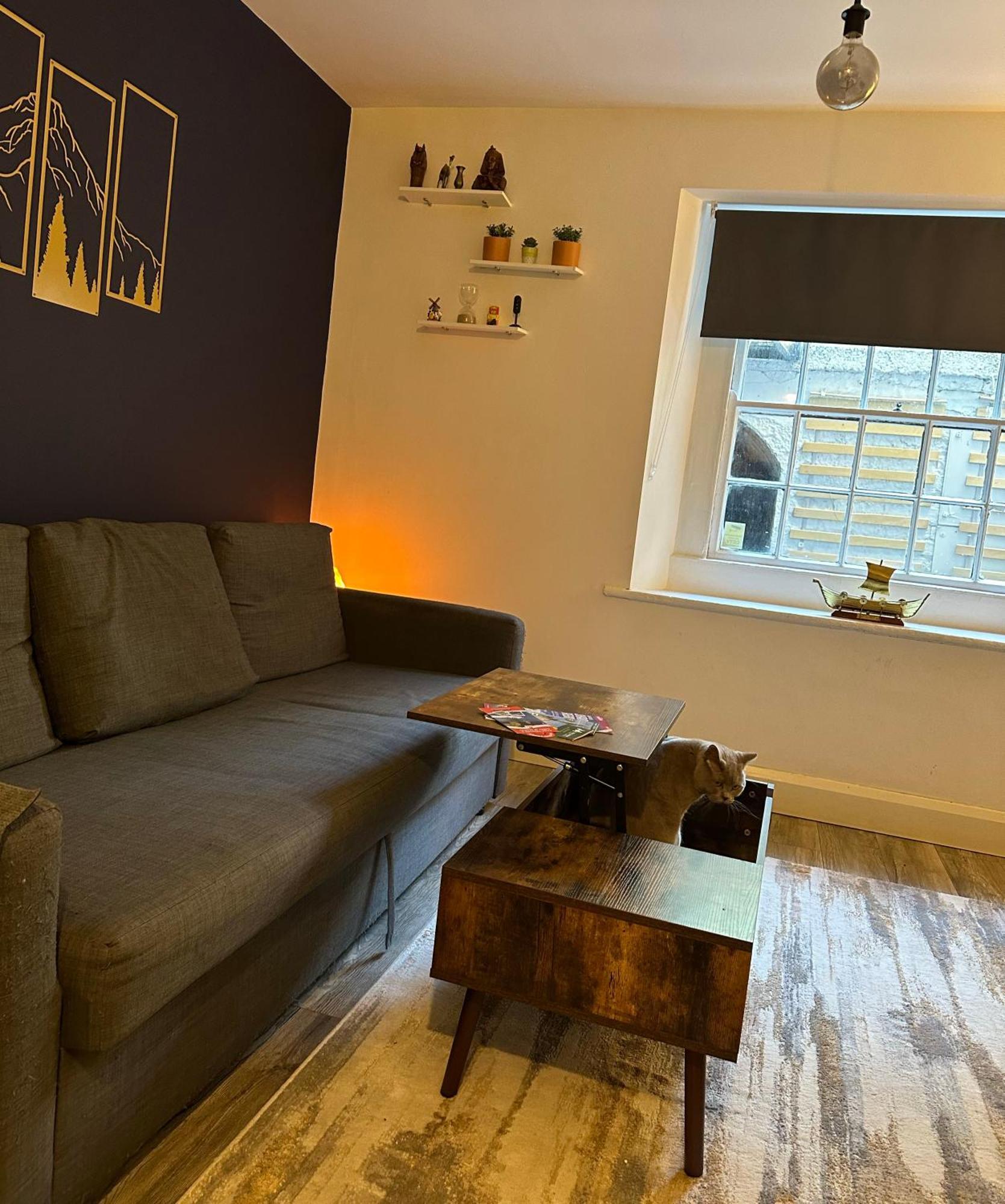 Entire Apartment In Dublin Ngoại thất bức ảnh